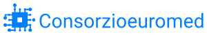Consorzioeuromed.com